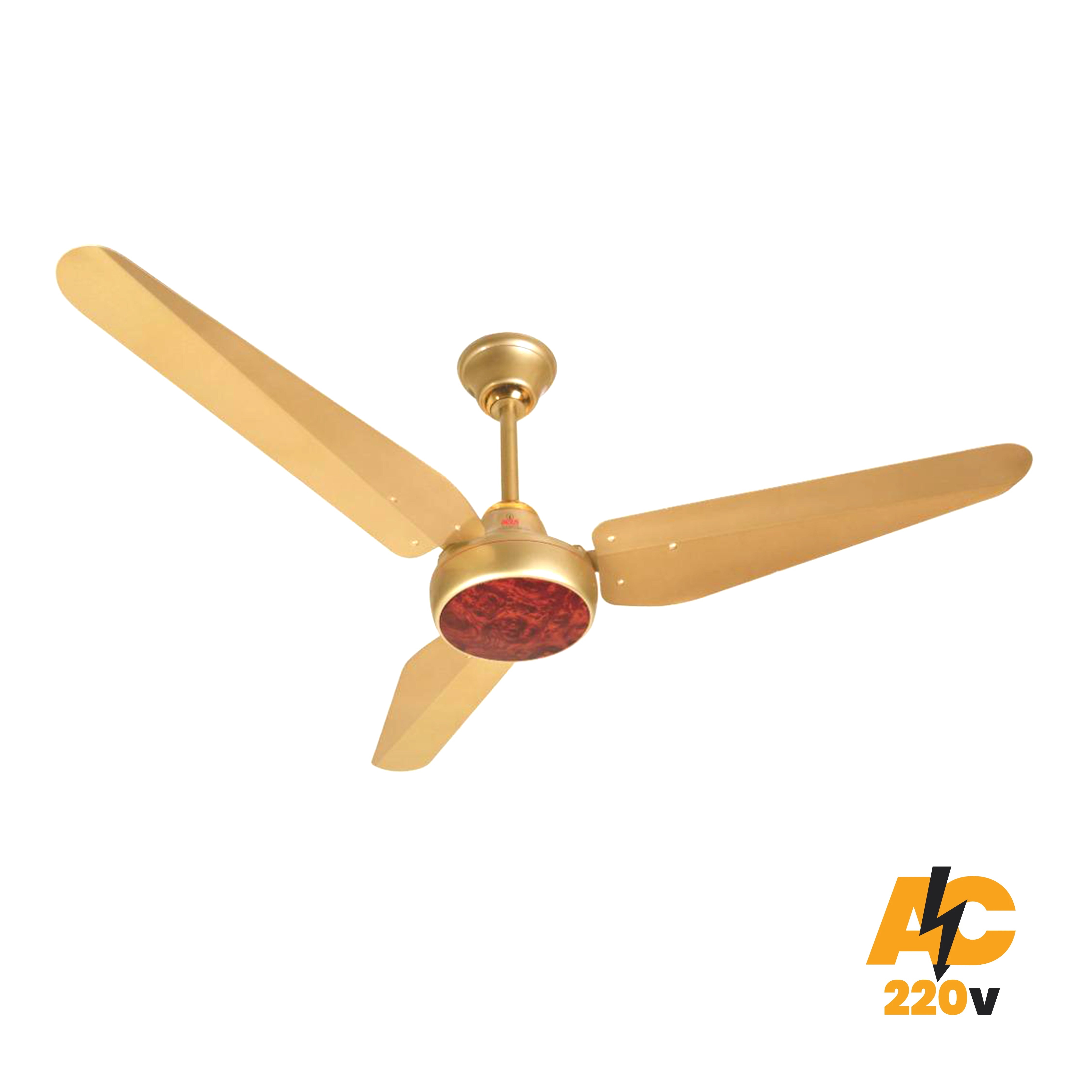 Ceiling fans